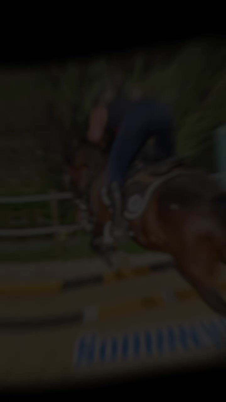 @haras de castille