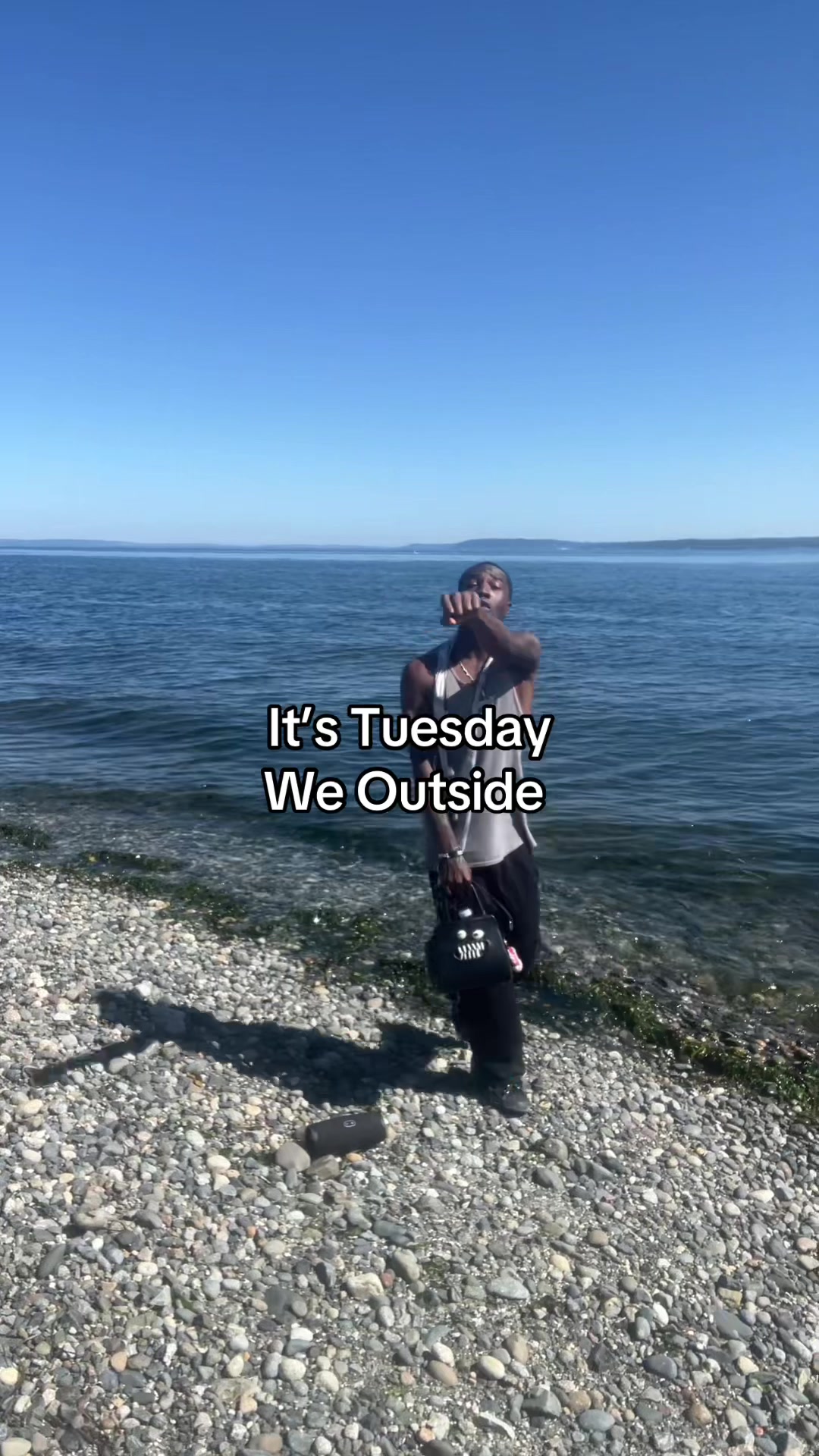 @Vyne