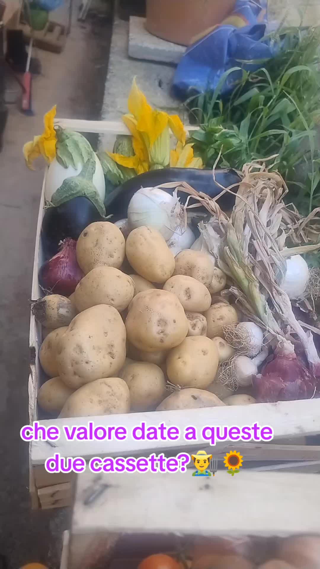 @Nell'orto di Alex ๐๐๐จ๐พ