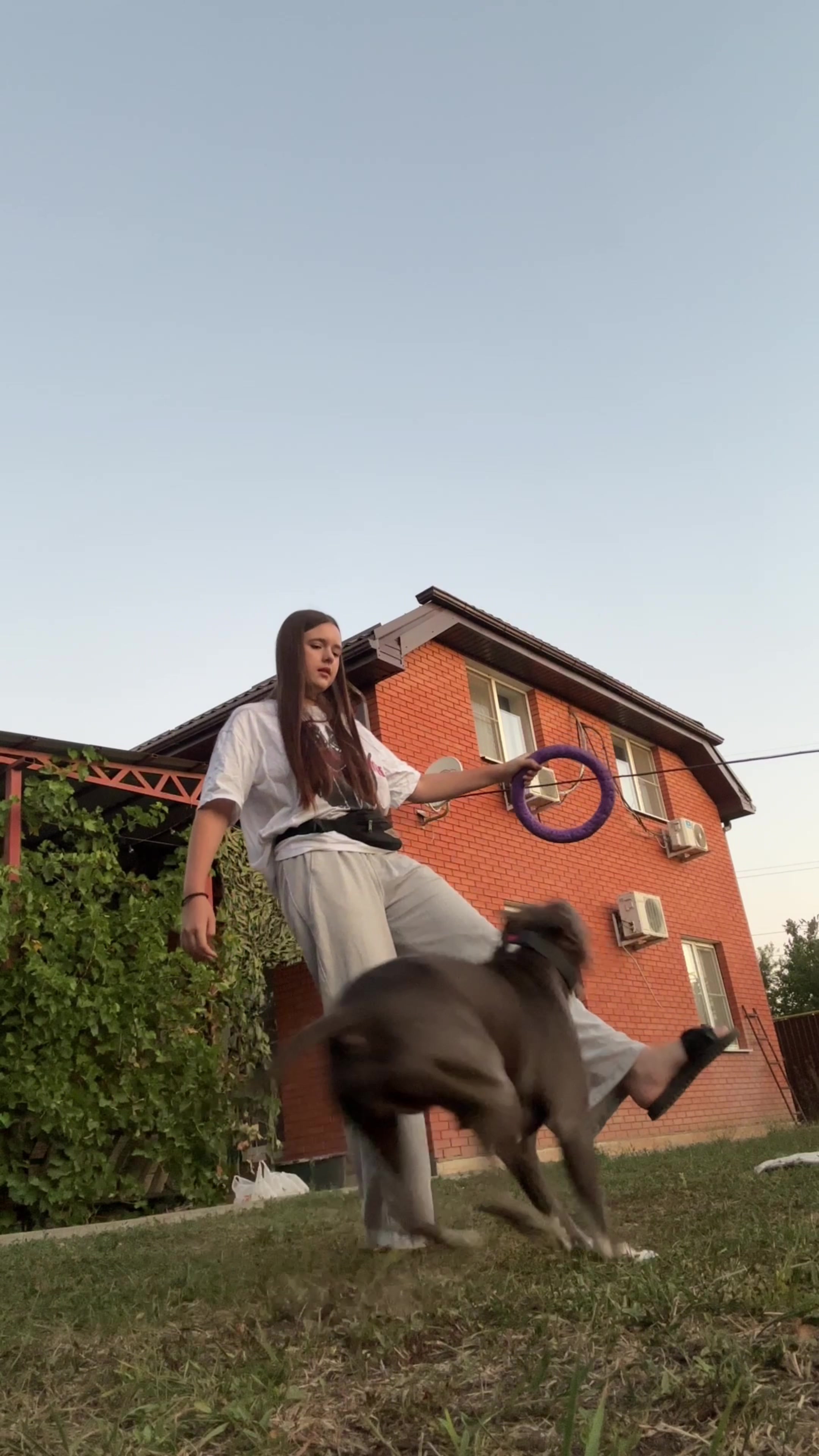 @🐶зᴧой ᴀʍᴄᴛᴀɸɸ⛓️💥