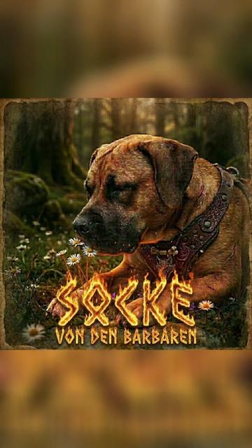 @Socke_von_den_Barbaren