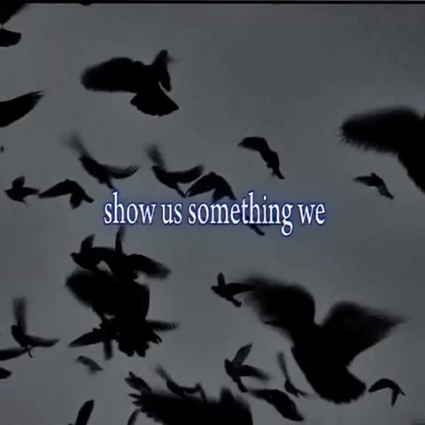 @‧₊ ♪˚⊹