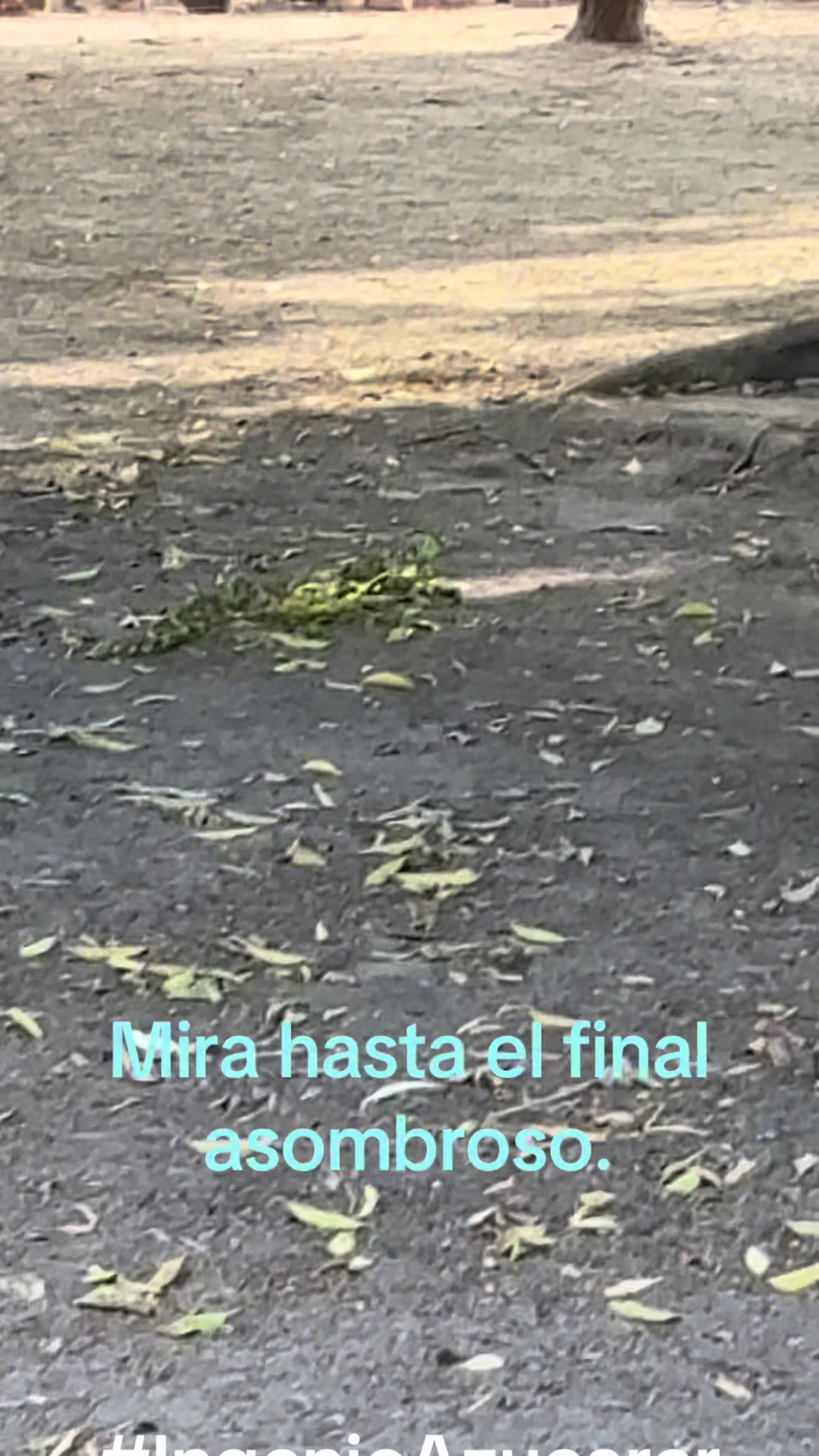 @espinozon