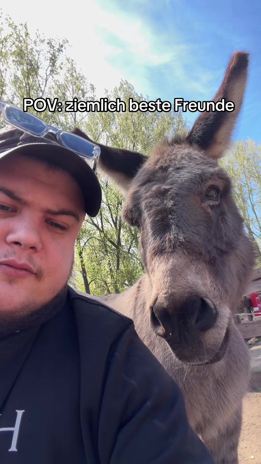 @einfachcan