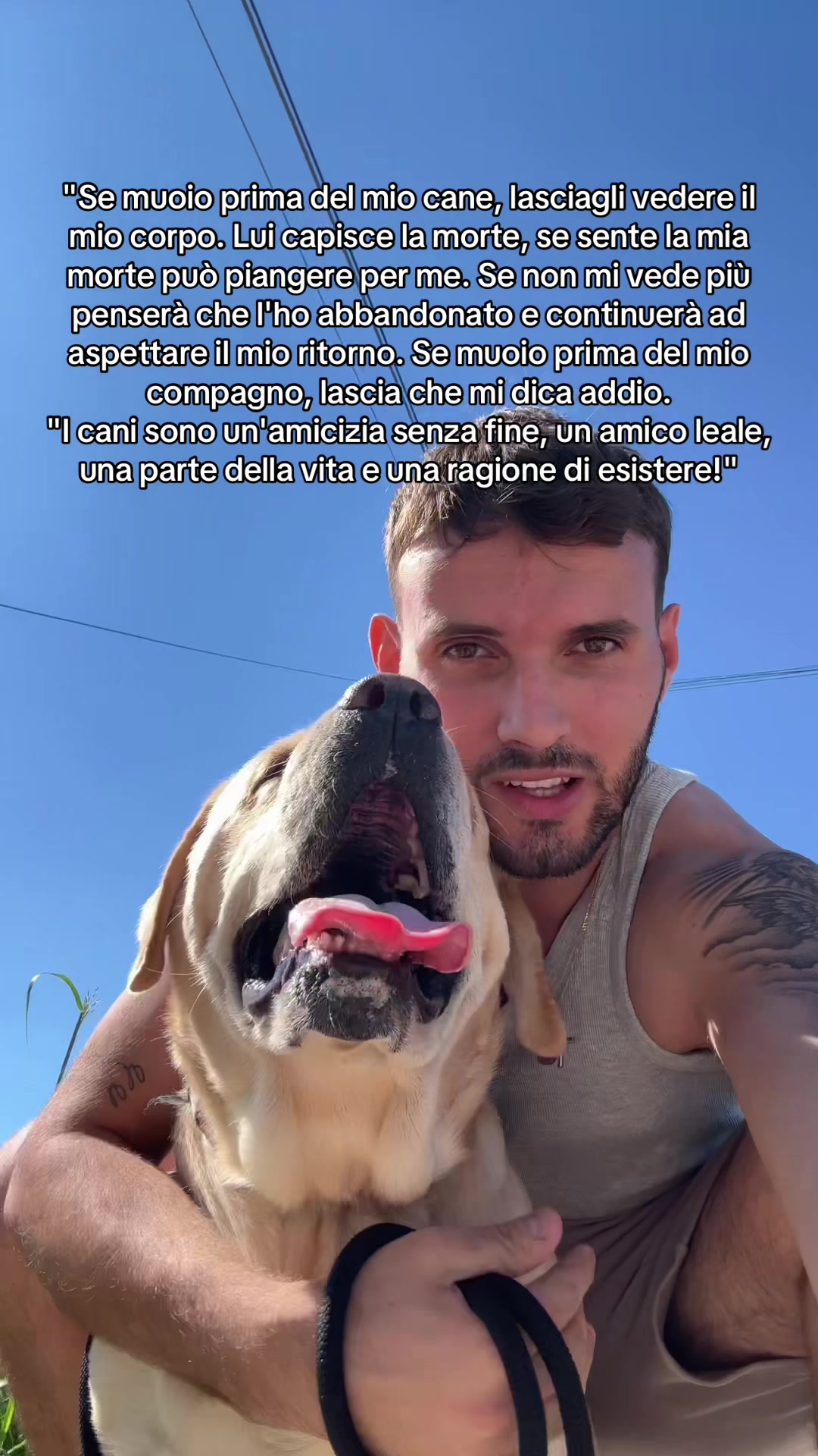 @francescobaccegareal