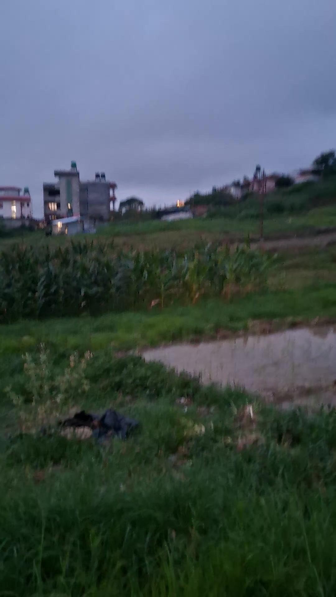 @घरजग्गा किन्नेबेच्ने sorenepal