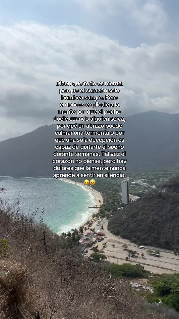 @Camilsandl