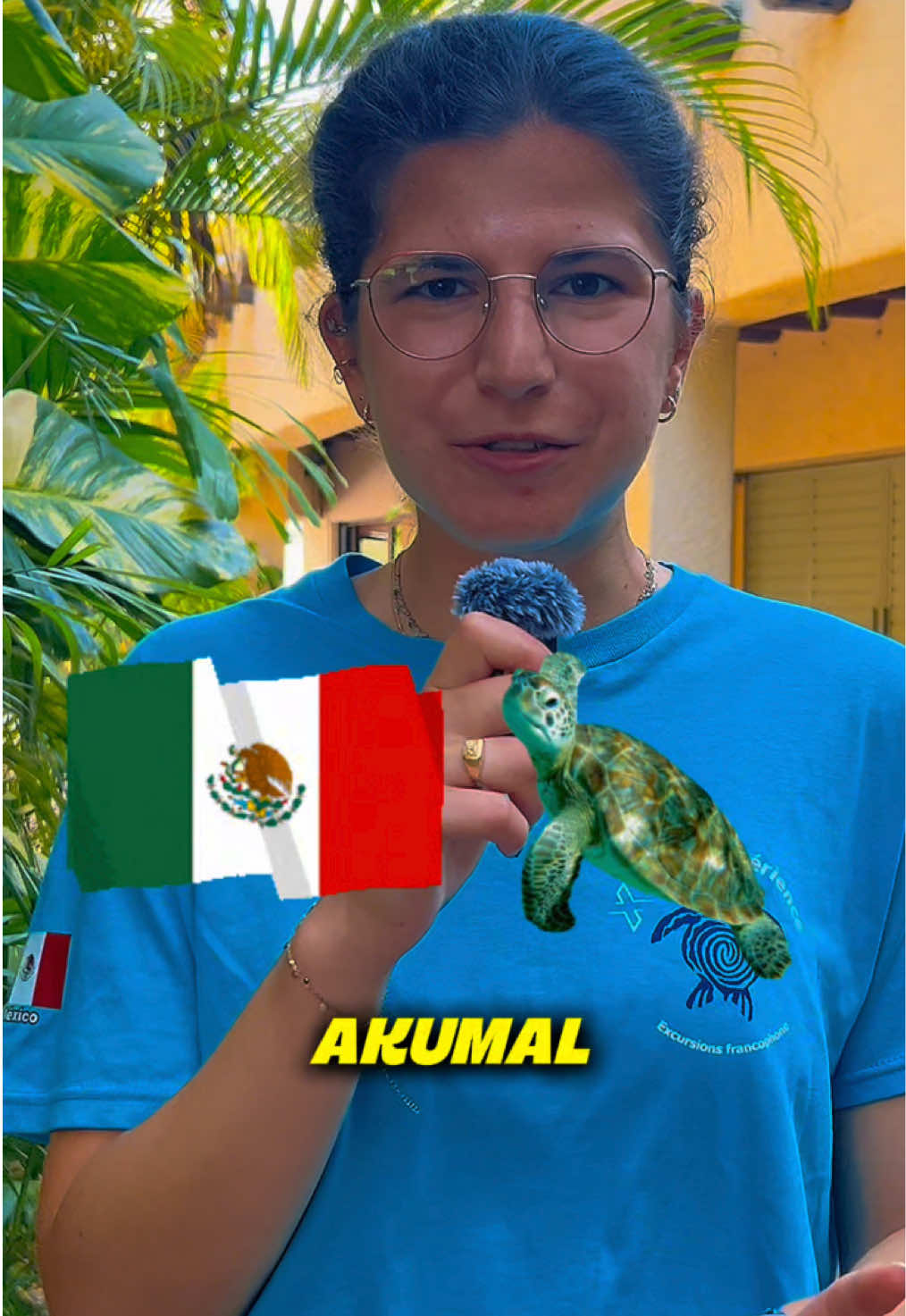 @xamanexperience