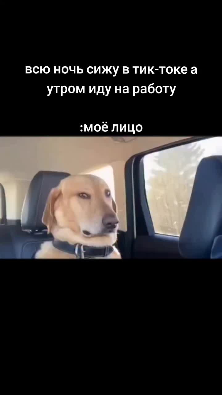 @shoxix36