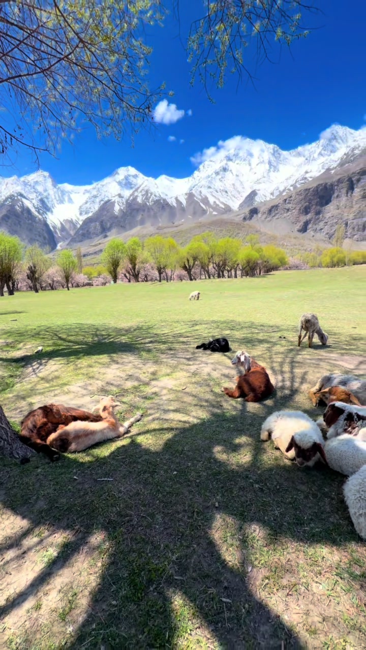 @Skardu Valley
