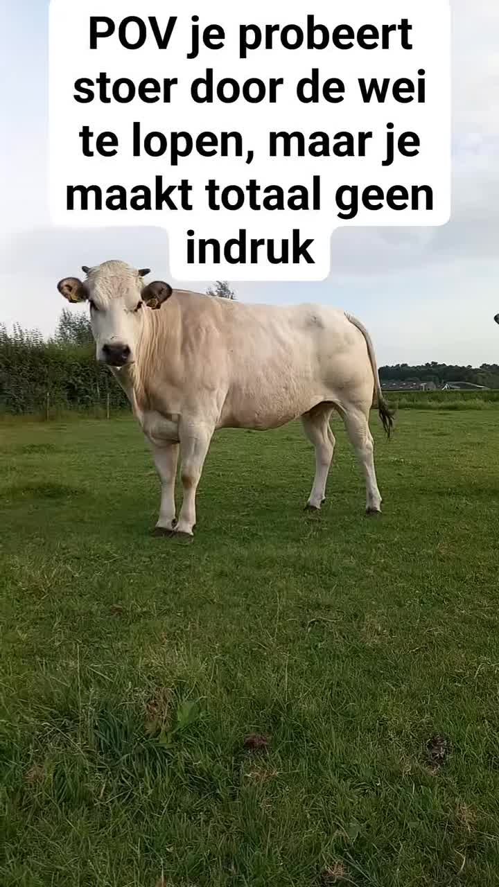@Sjo's farmvideos