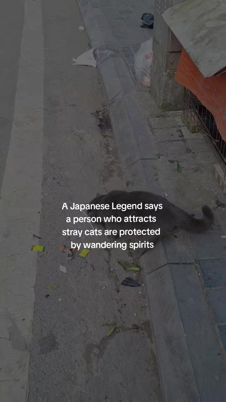 @Cai