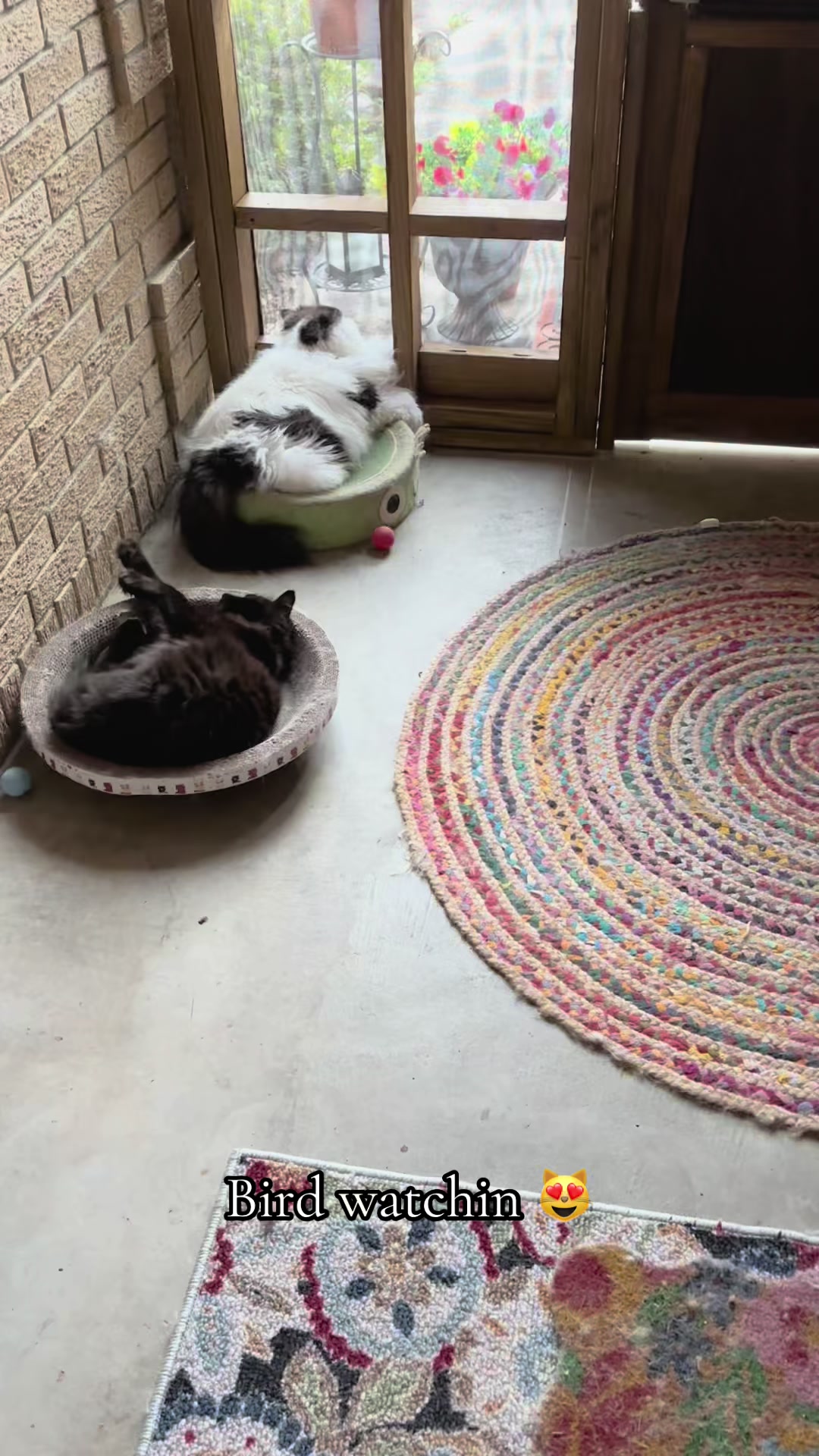 @Melissa’s9Lilfluffs