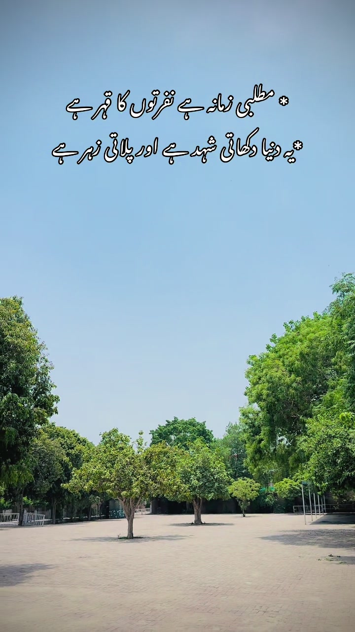 @Zidi SHah