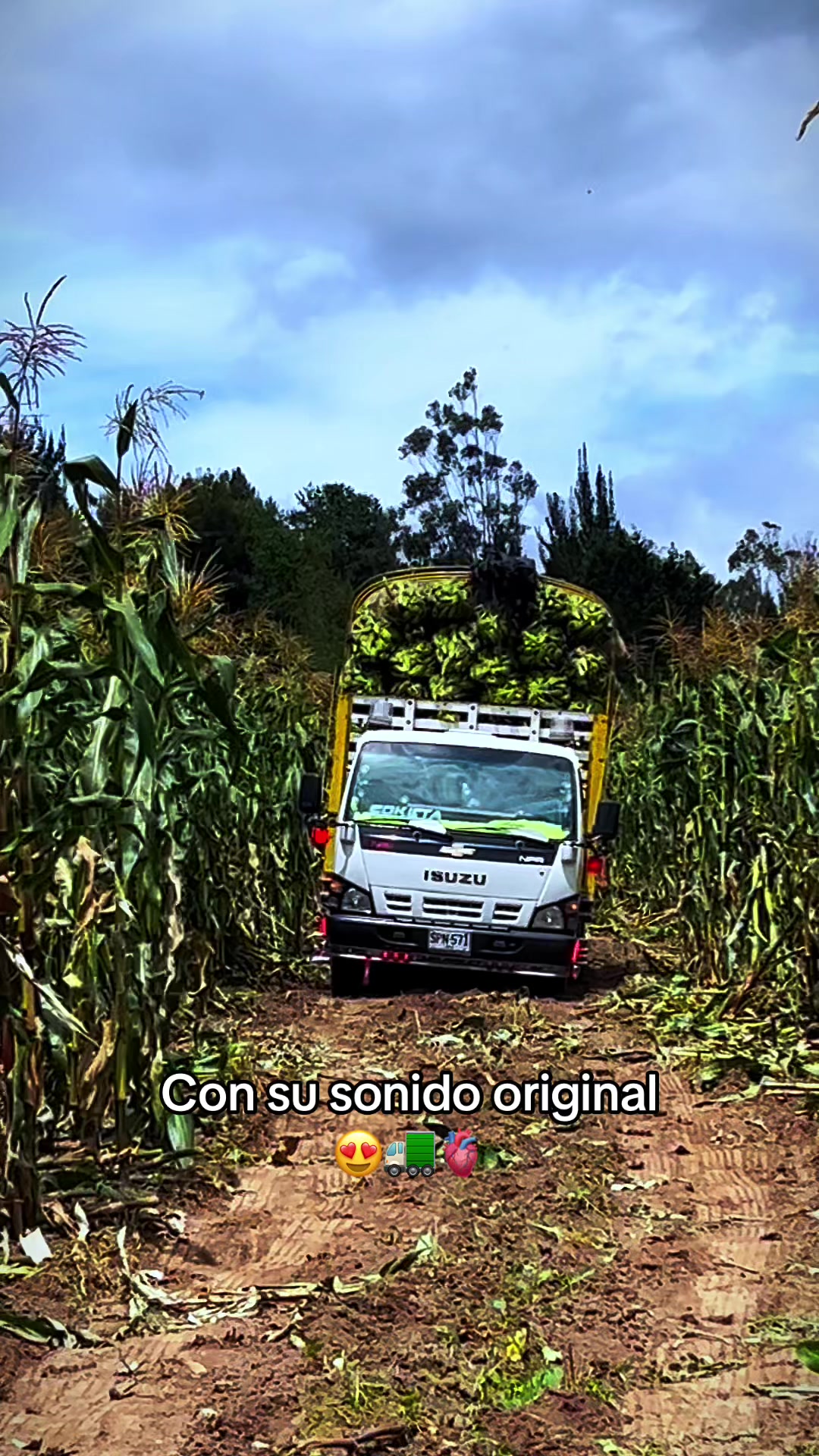 @SNEIDER 🚛🫀