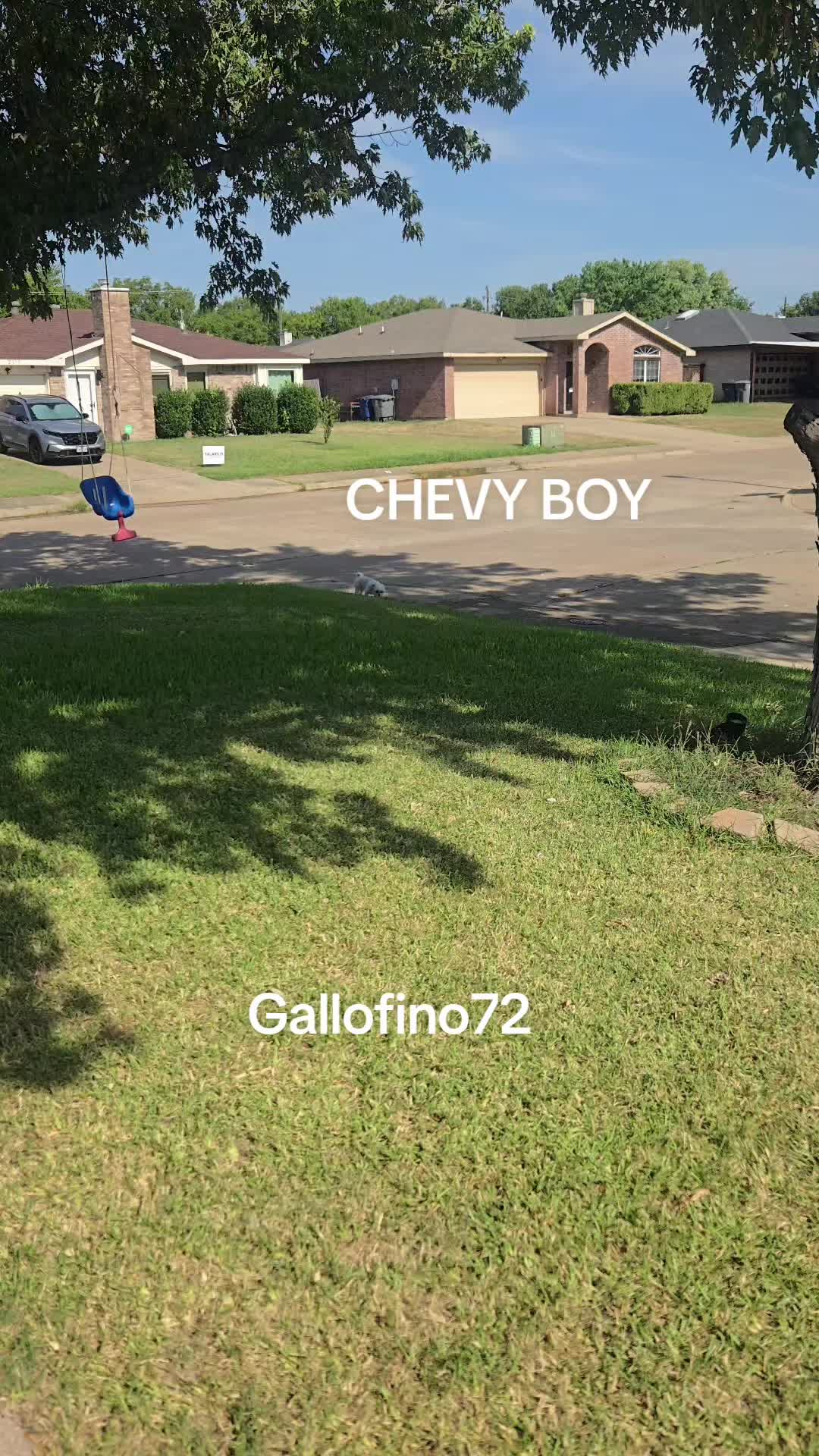 @ElGalloFino