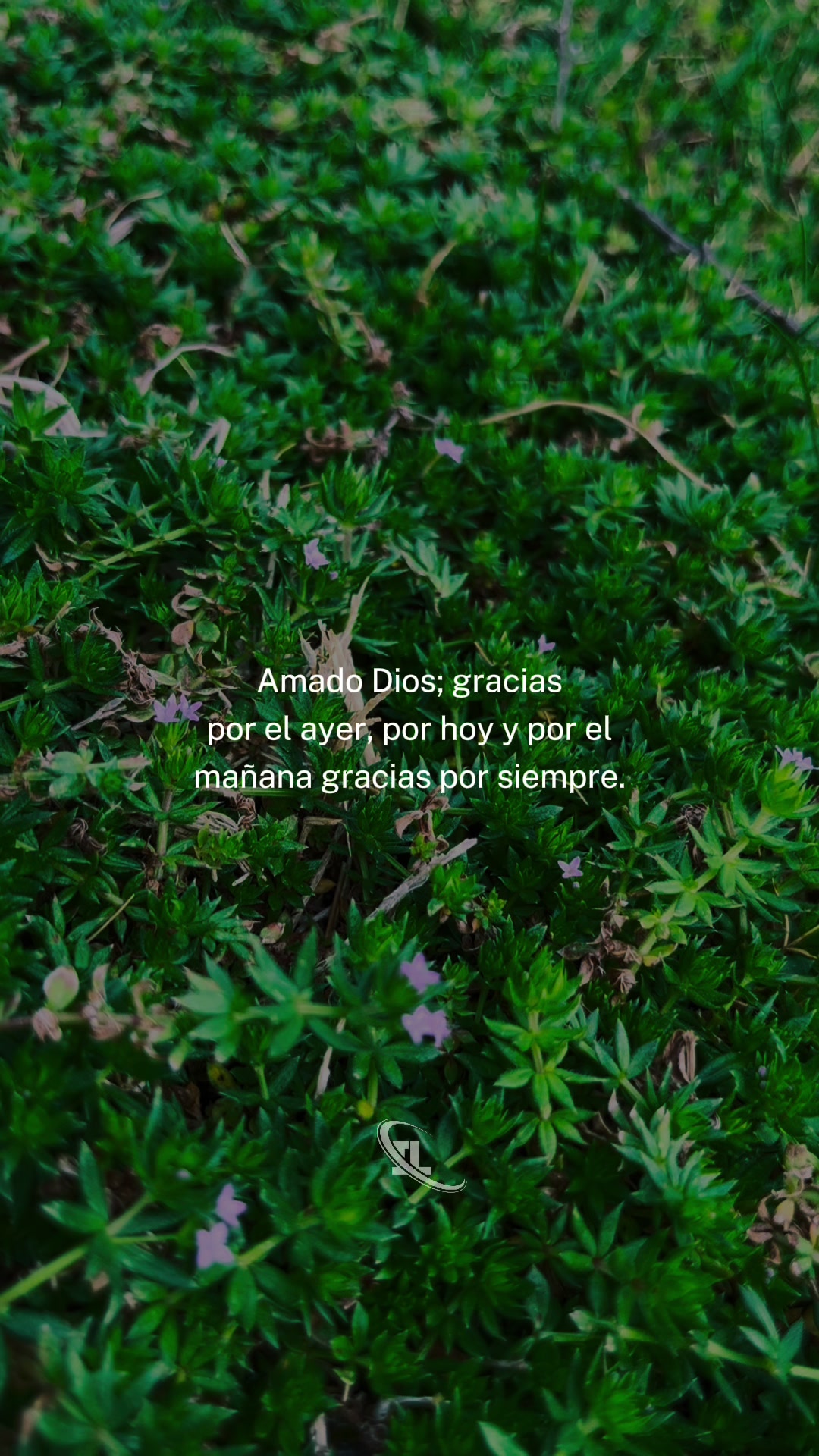 @Patricia Arronal
