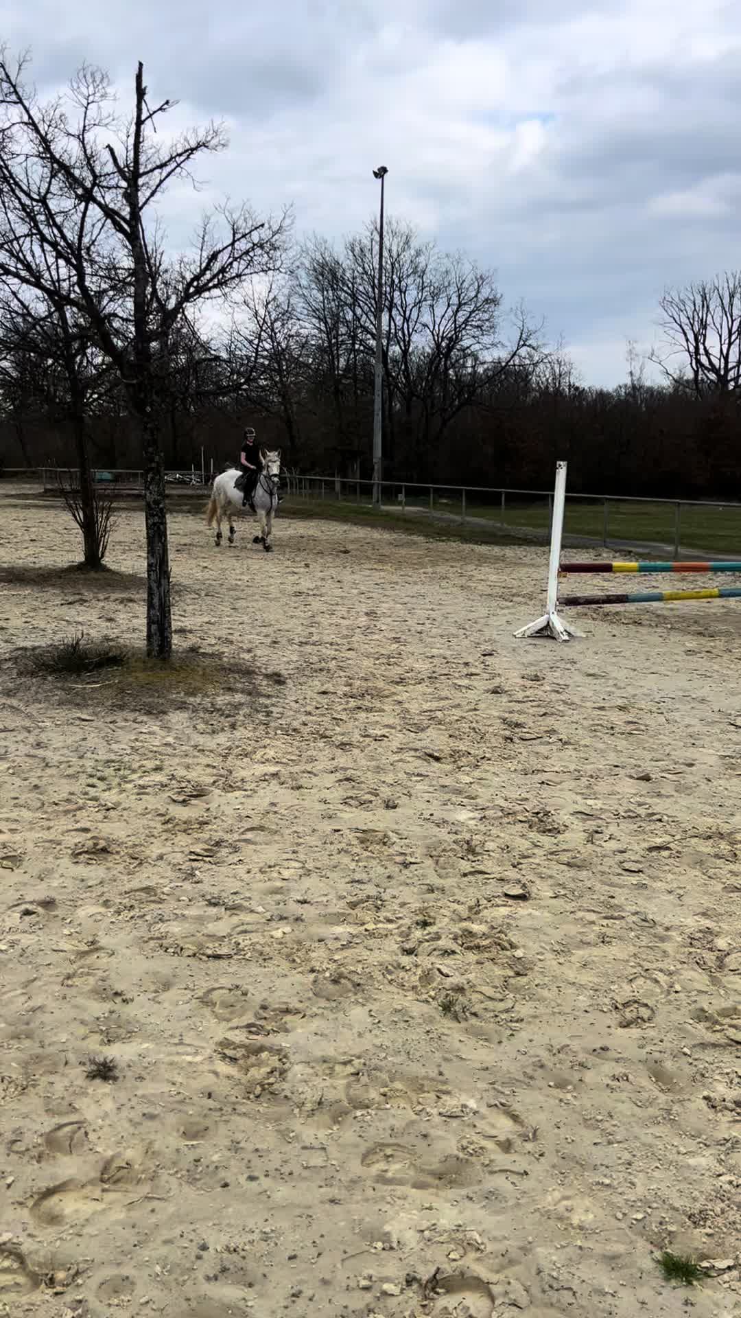 @L.S.