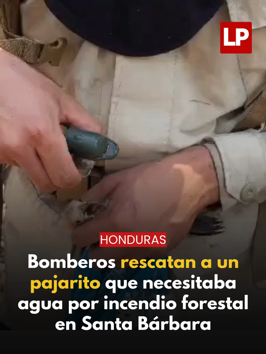 @diariolaprensa