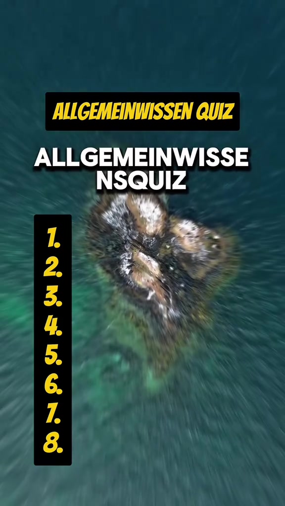 @DailyQuizMaster
