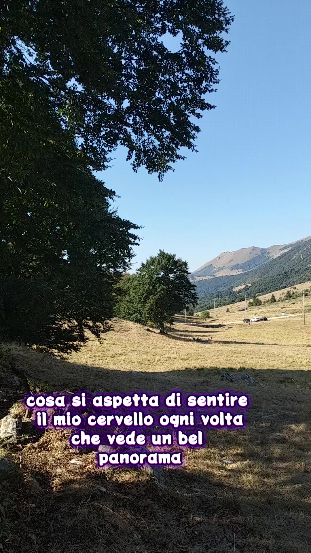@PamDem