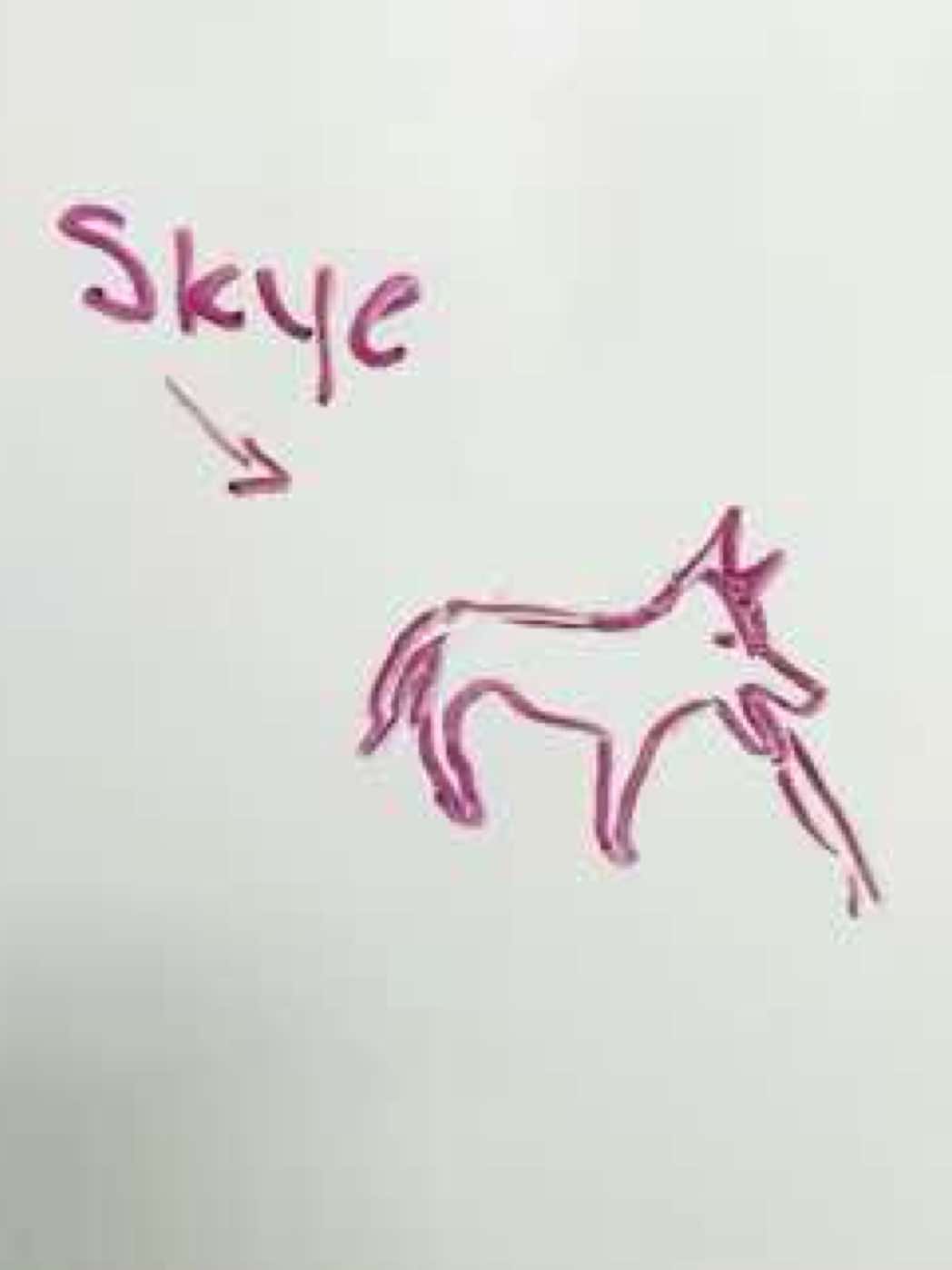 @dogstrainjen