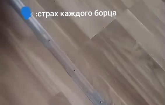 @альфа вод❤️🩹