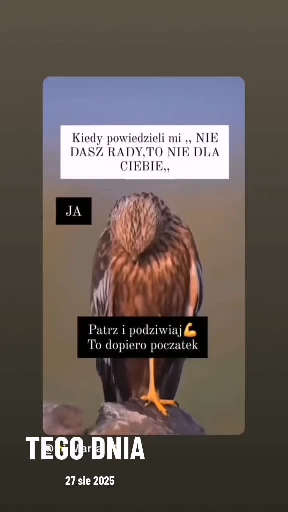 @🦁🇵🇱Wariat.Niemożliwy🇵🇱🦁