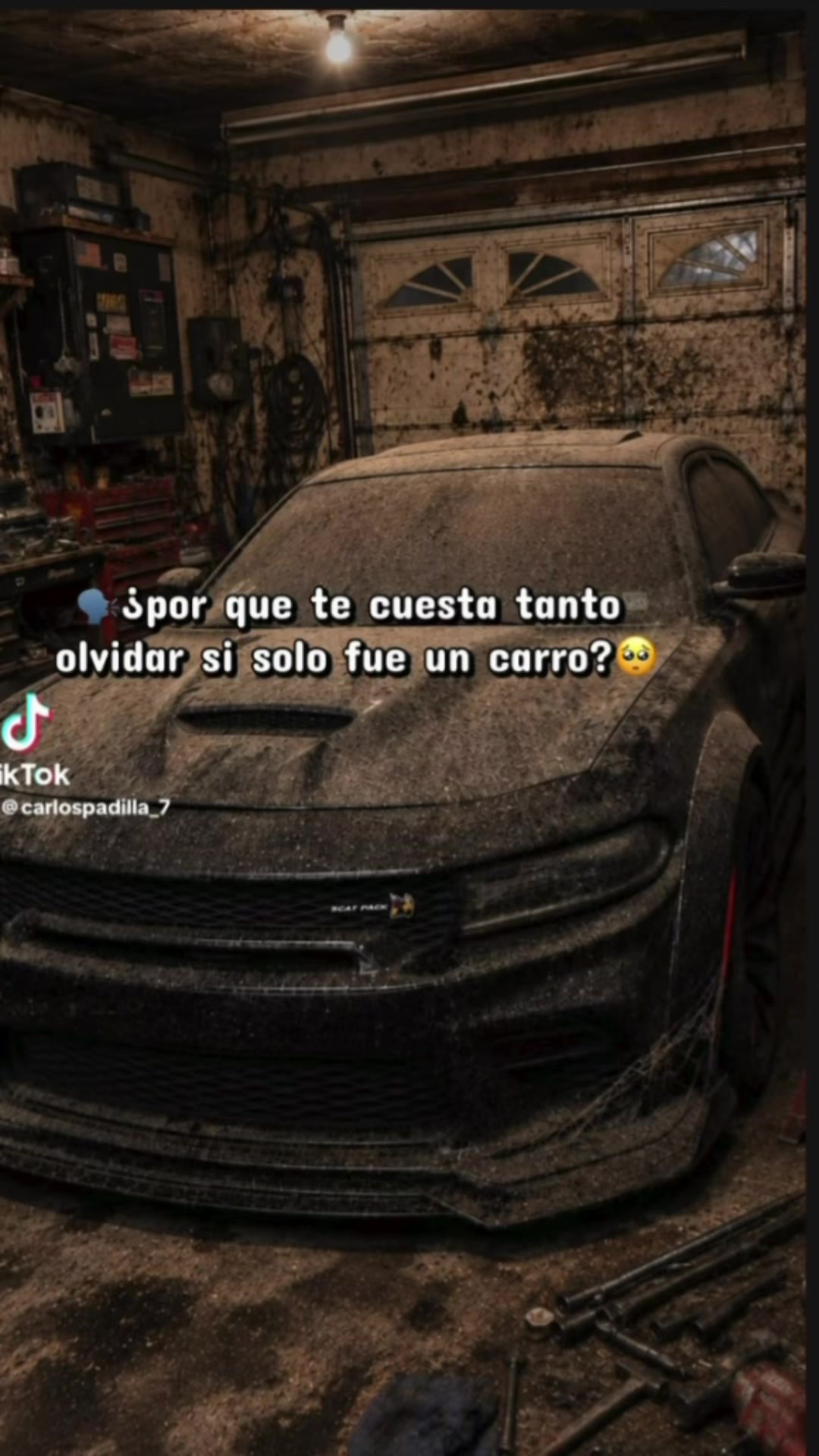 @carlospadilla_7