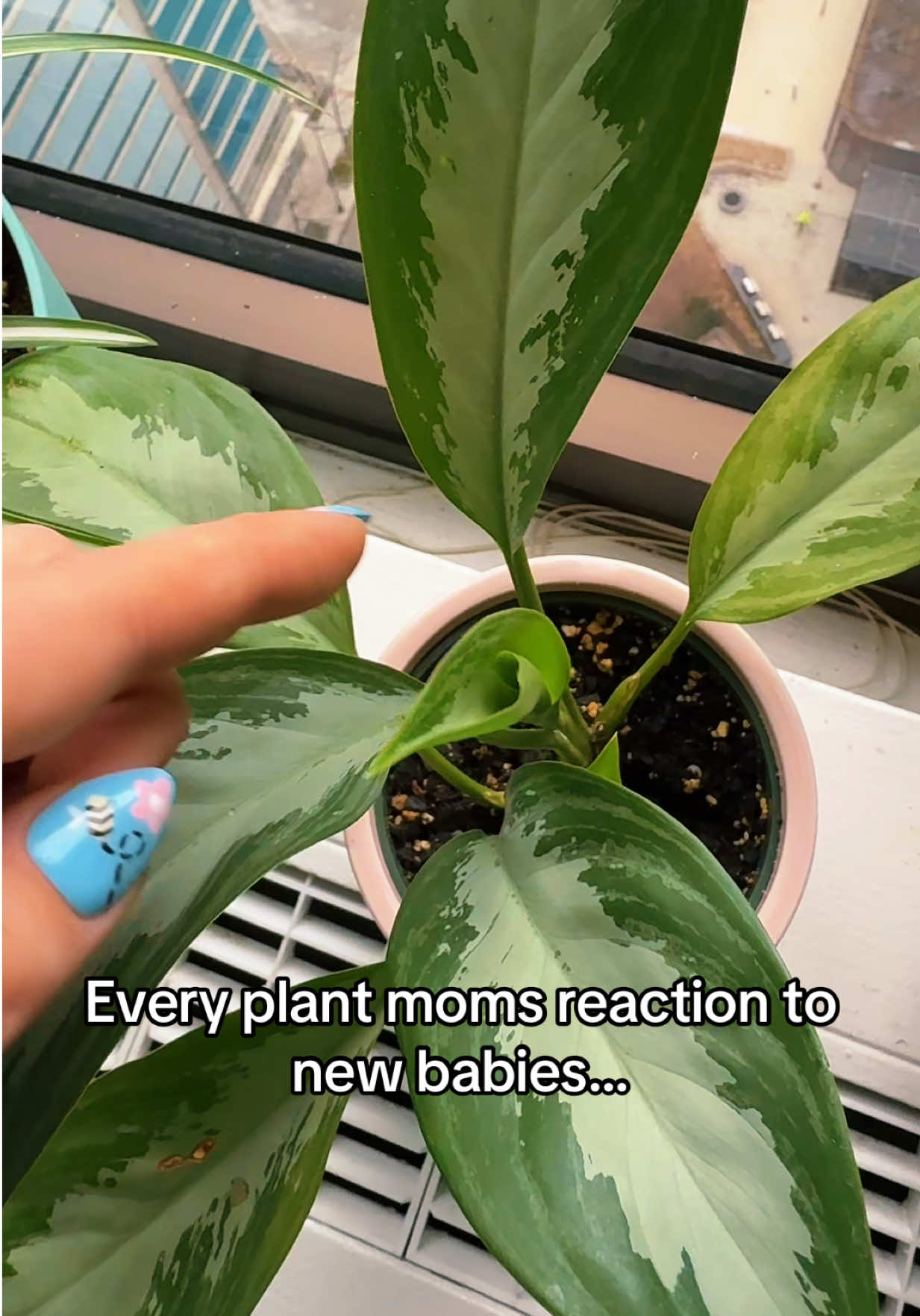 @Plant Girly 🪴