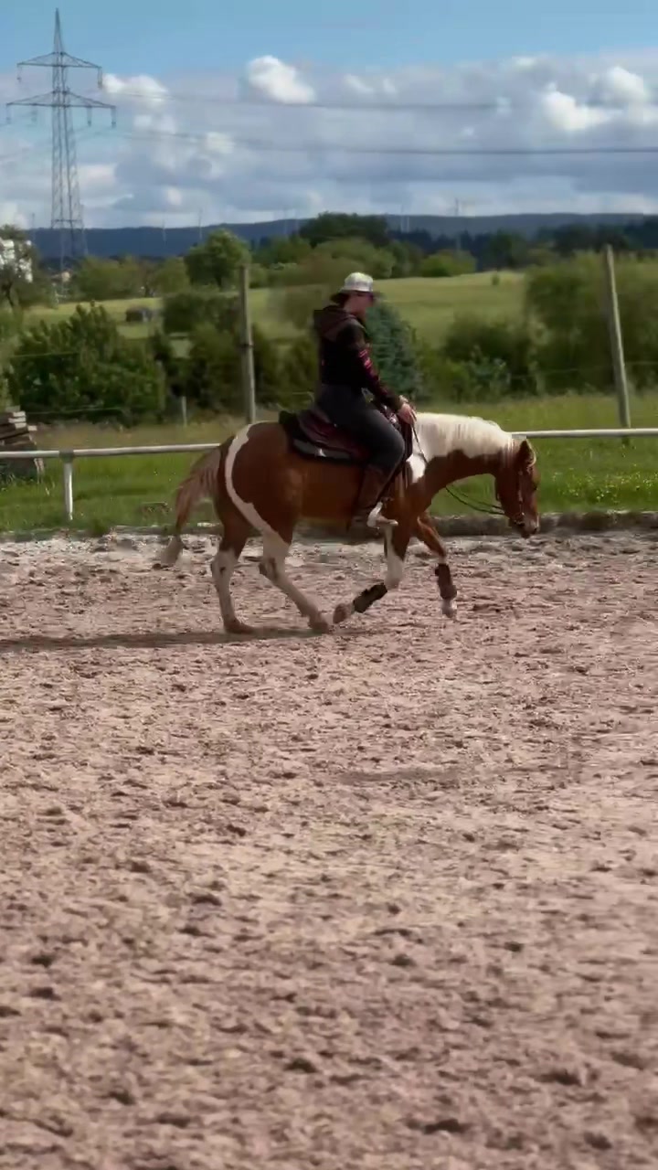 @reitmuraene