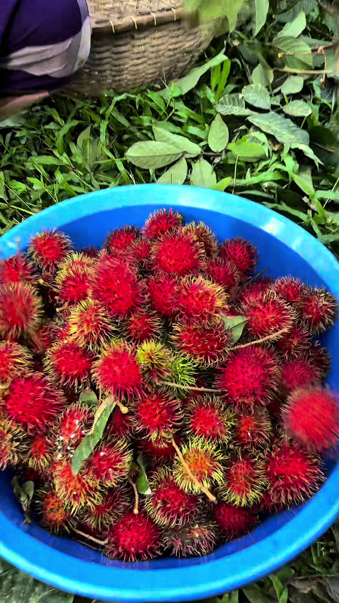 @শেখ সাহেব