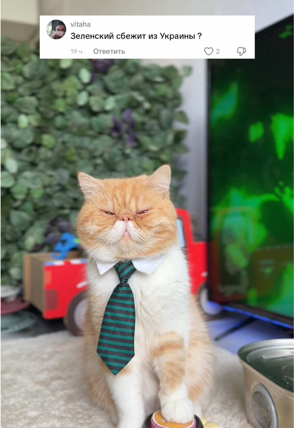 @hariton.cat