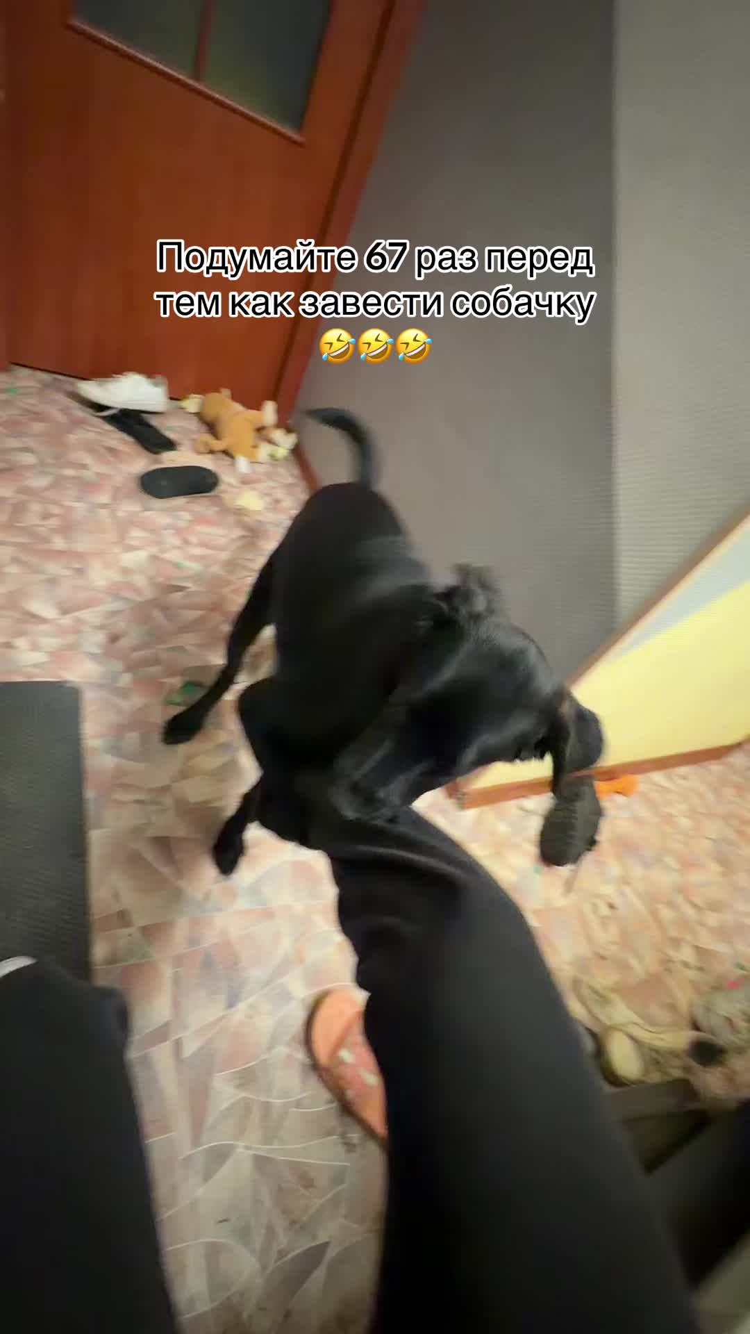 @Алёна 👀