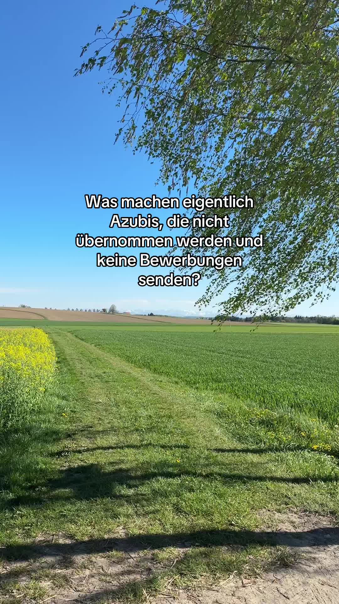 @azubibericht
