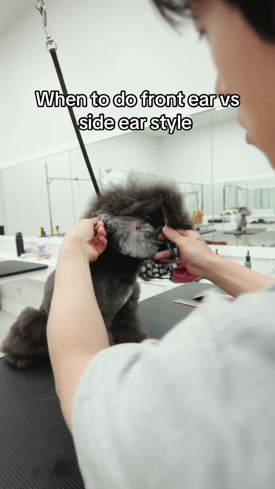 @NorCal Grooming Academy