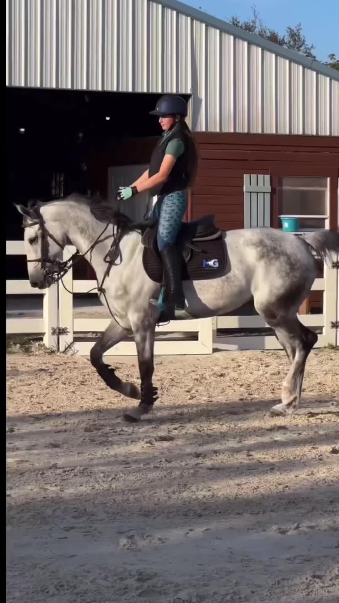 @Dakota Sheikh