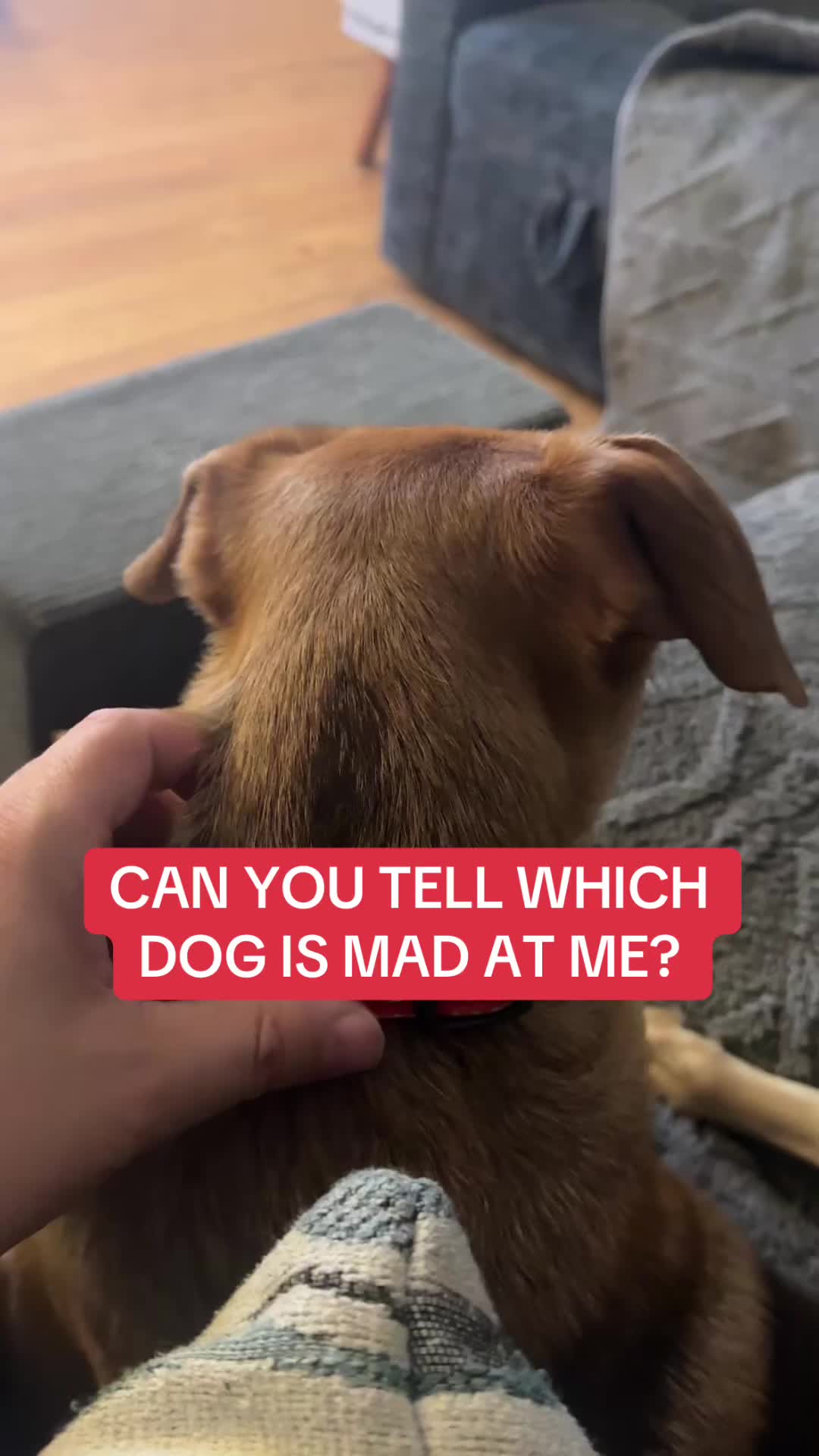 @Jay