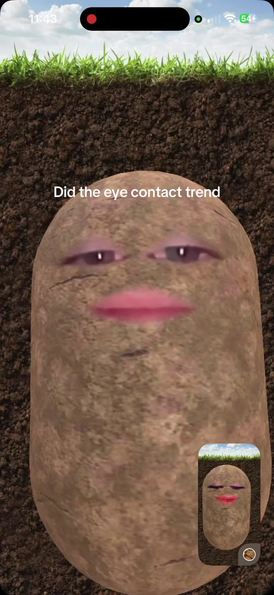 @💥𝓑𝓪𝓴𝓾𝓰𝓸&rsquo;𝓼 𝔀𝓲𝓯𝓮💥