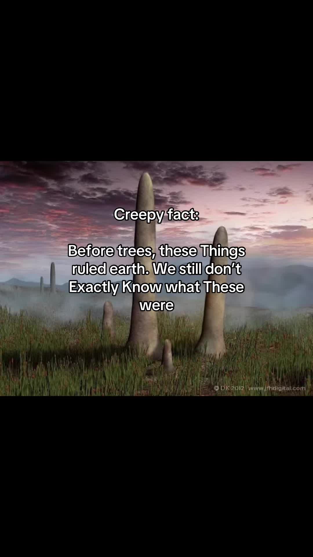 @Ancientlyx
