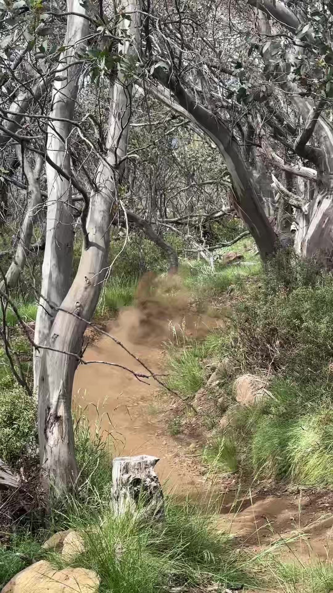 @Zach.mulligan