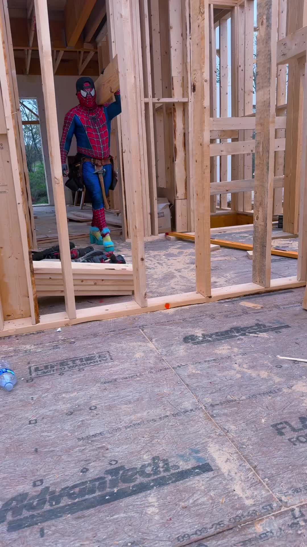@spider503r