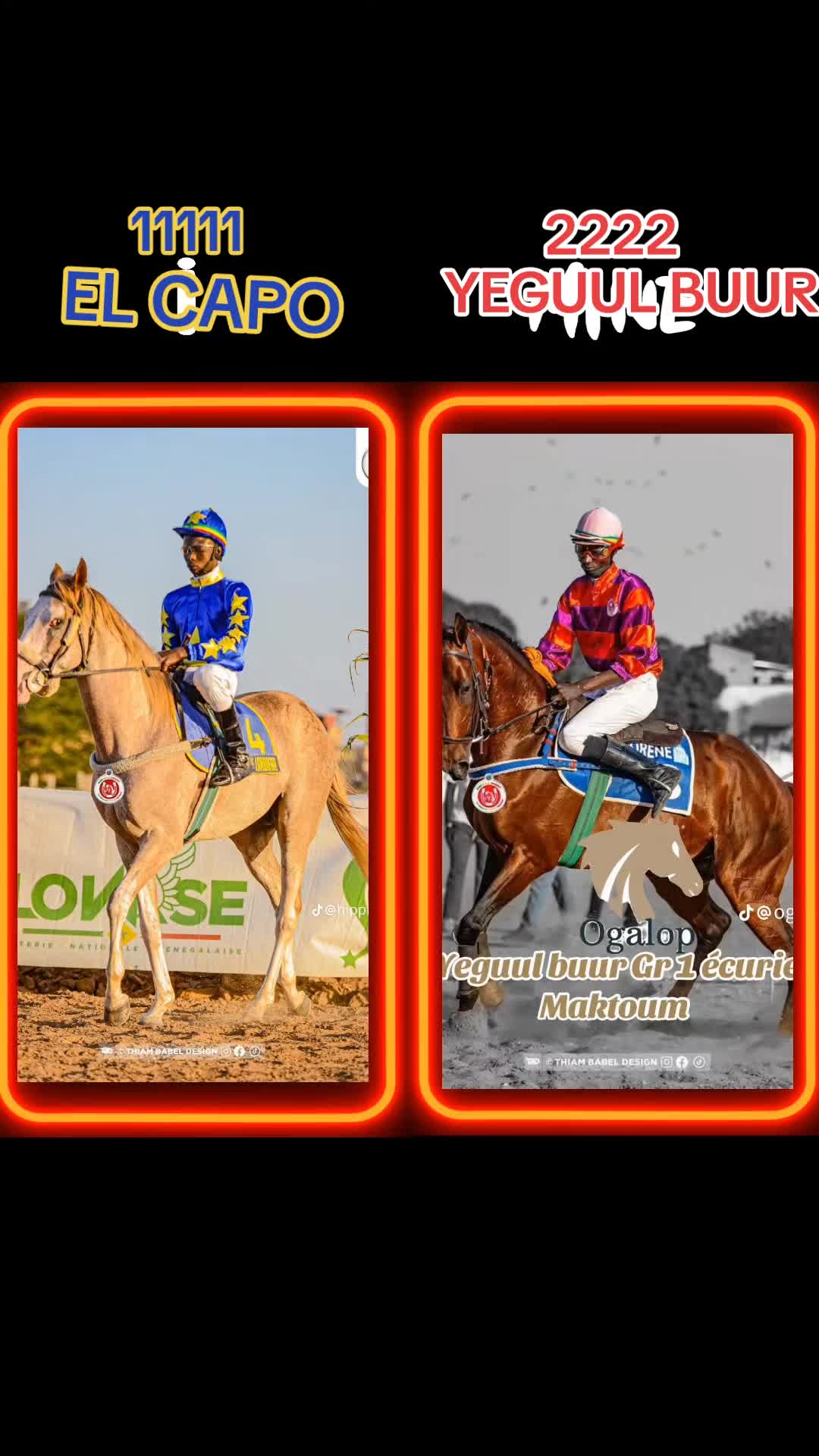 @Metzo🐎 bou tawfekh⚔️