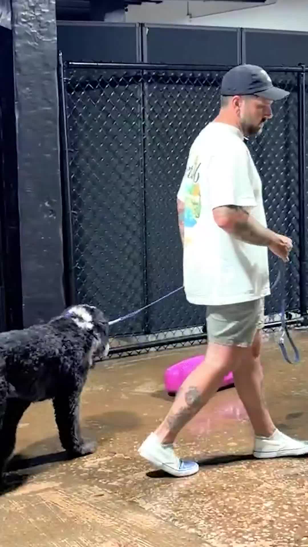 @Miracle K9 Training