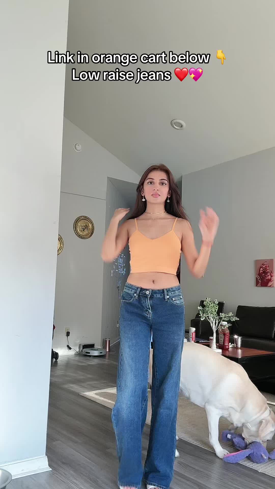 @pratigya🦀