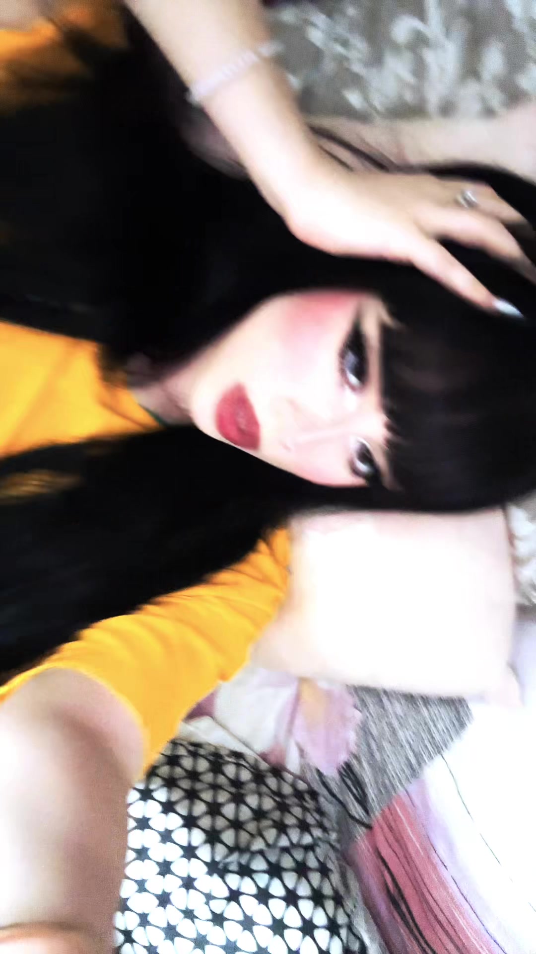 @chatdinosaure