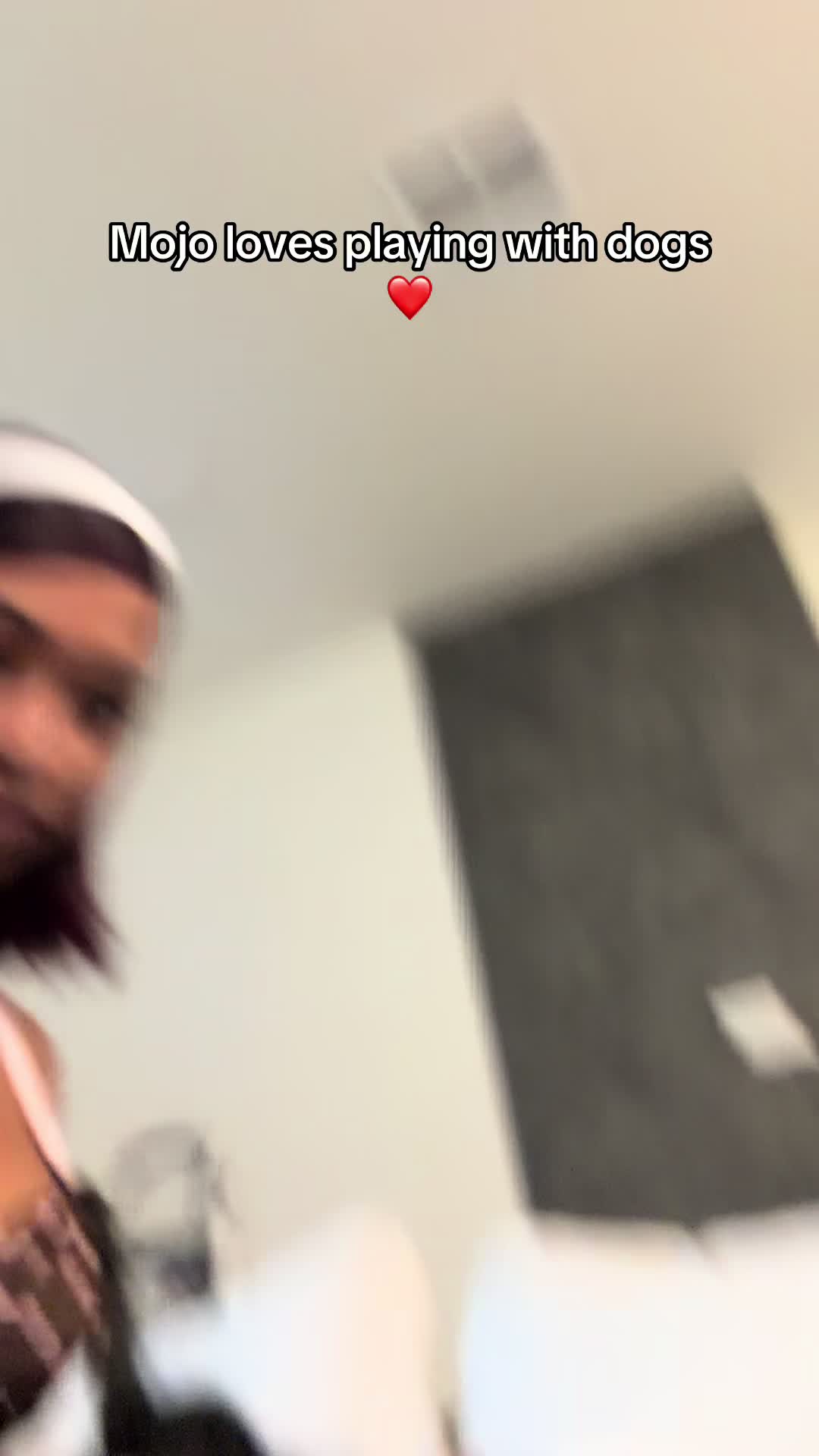 @OJTV & Mojo Jojo🧡