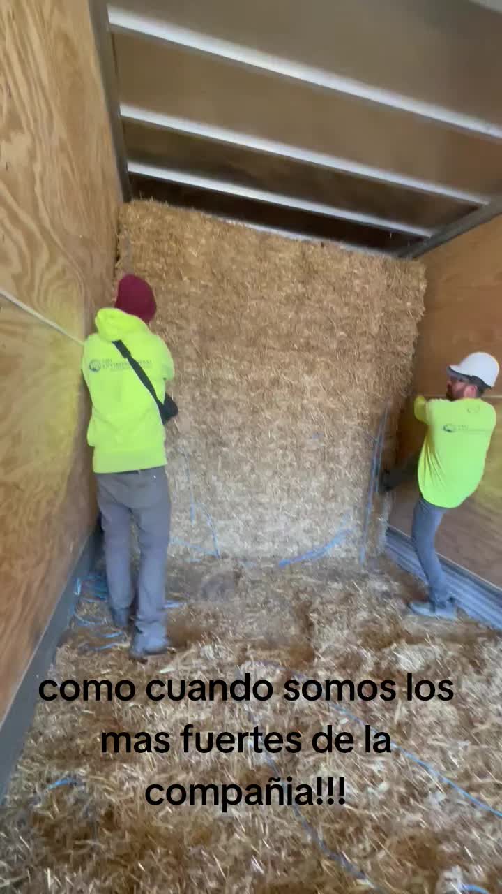 @Hector ( el galan )