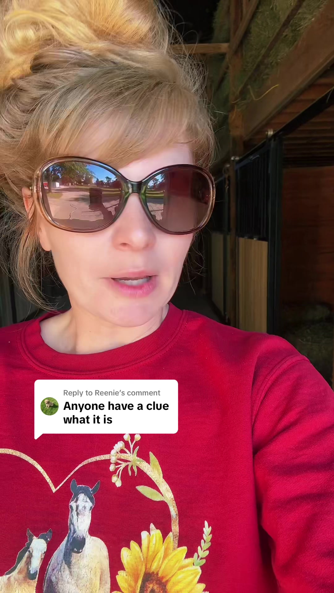 @Free Spirit Equestrian