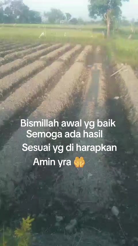 @wong kediri